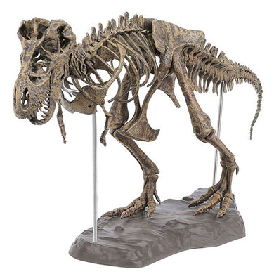 T-Rex Model